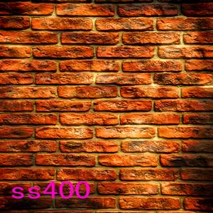 5'x8' SS400